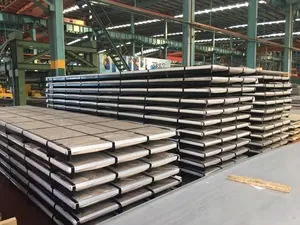 Stainless Steel Plate (6)